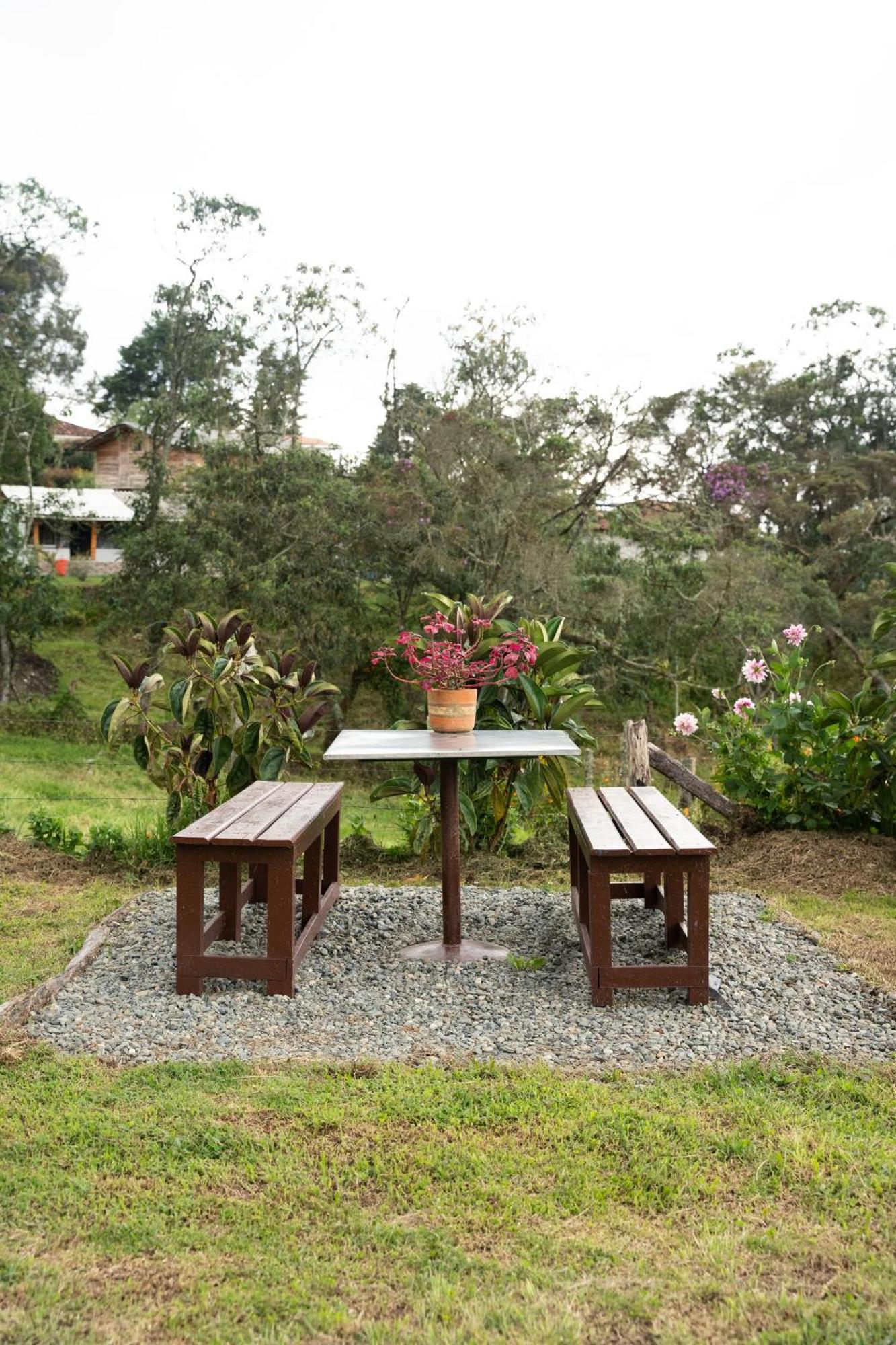 Casa Profunda - Santa Elena Guest House Medellín Eksteriør bilde